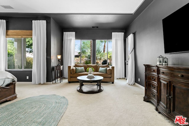 carpeted living room featuring a healthy amount of sunlight