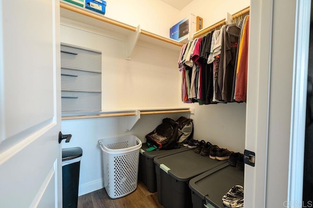 spacious closet featuring dark hardwood / wood-style floors