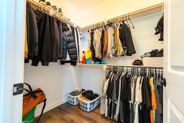 walk in closet with hardwood / wood-style flooring