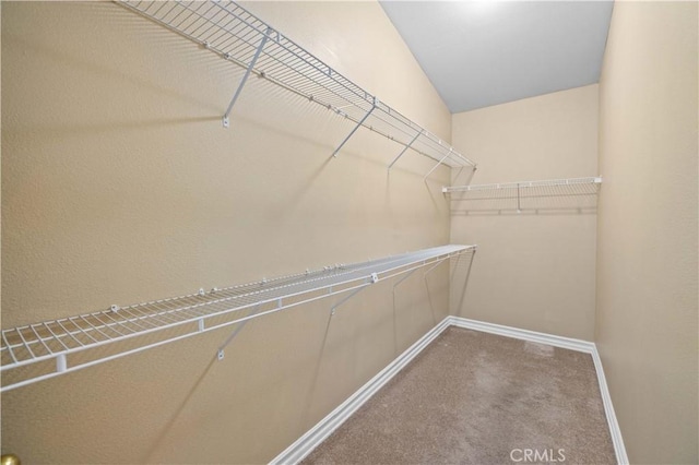 spacious closet with carpet flooring