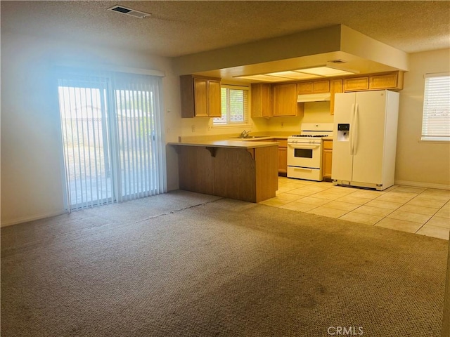 44504 Watford Ave, Lancaster, CA 93535 - kitchen with white appliances, light colored carpet, a textured ceiling, a peninsula, and light countertops