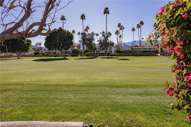 view of community featuring a yard