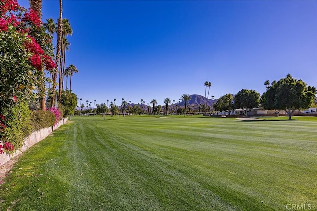 view of community with a mountain view and a yard