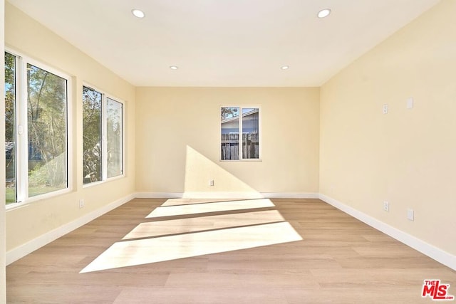 empty room featuring a wealth of natural light and light hardwood / wood-style flooring