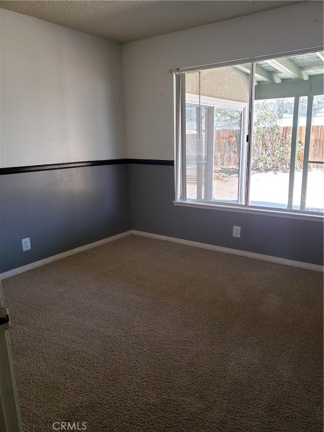 unfurnished room with carpet floors