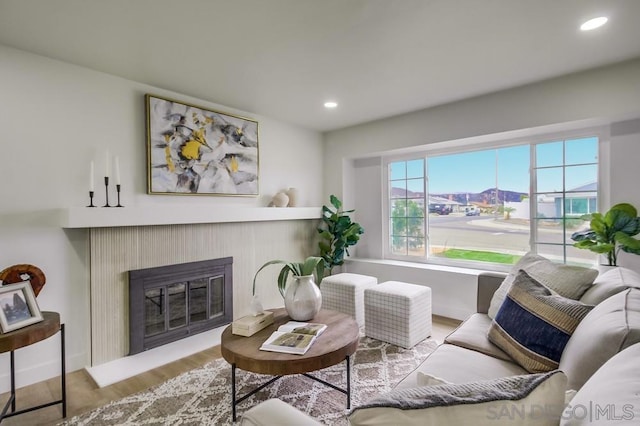 living room with light hardwood / wood-style flooring