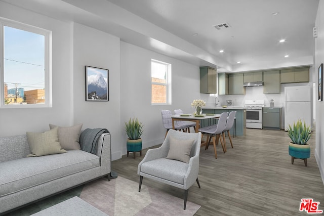 living room featuring light wood-type flooring and a wealth of natural light