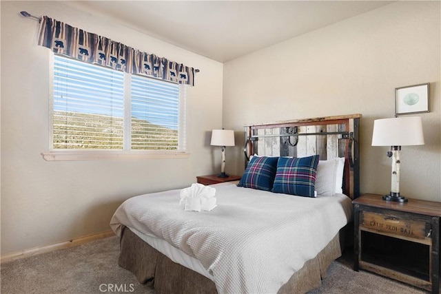 bedroom with carpet flooring