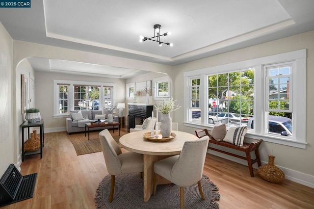 dining room with plenty of natural light, a raised ceiling, and light hardwood / wood-style floors