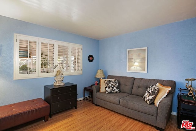 living room featuring light hardwood / wood-style floors