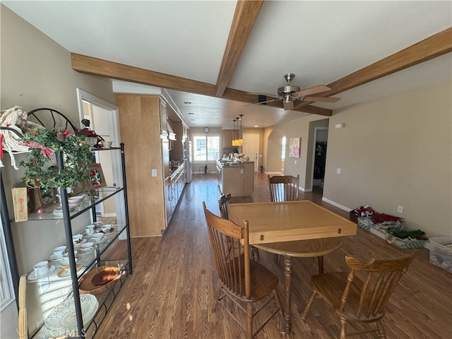 dining space featuring dark wood-type flooring, beam ceiling, and ceiling fan