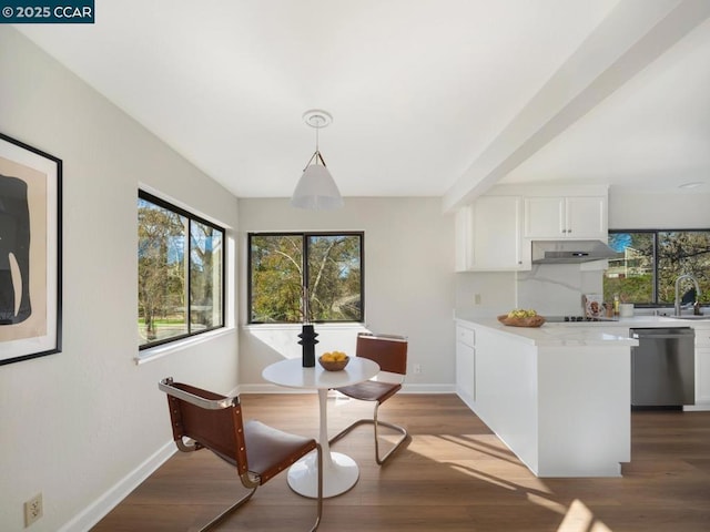 dining area featuring sink and hardwood / wood-style floors