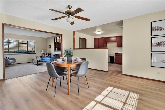 dining area with ceiling fan and light hardwood / wood-style floors