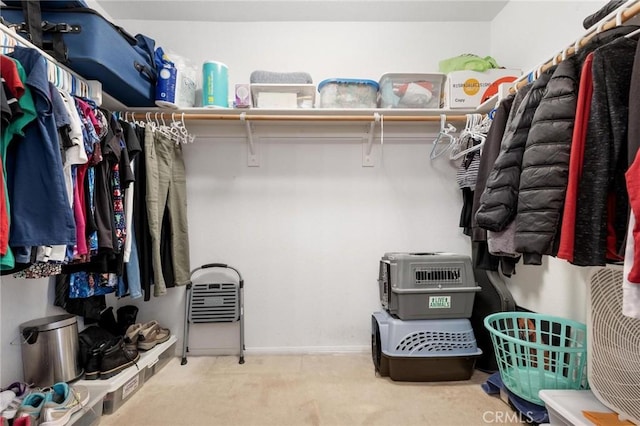 walk in closet featuring light carpet