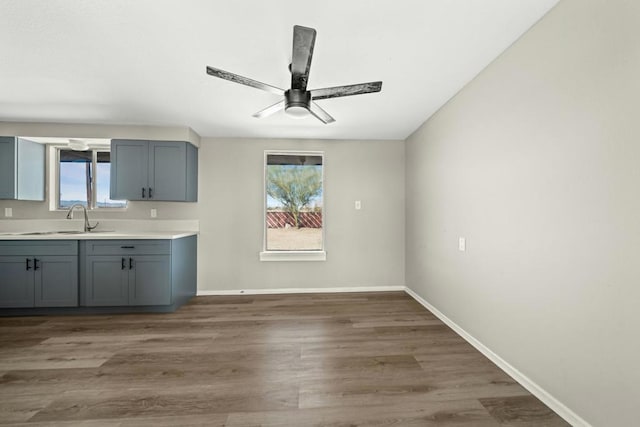 kitchen featuring ceiling fan, a healthy amount of sunlight, dark hardwood / wood-style floors, and sink