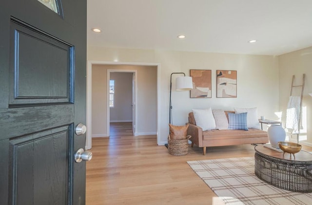 living room with light hardwood / wood-style floors and a wealth of natural light