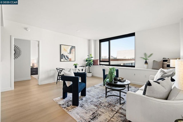 living room featuring light hardwood / wood-style floors