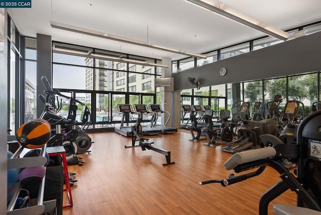 workout area with expansive windows, a healthy amount of sunlight, and hardwood / wood-style flooring