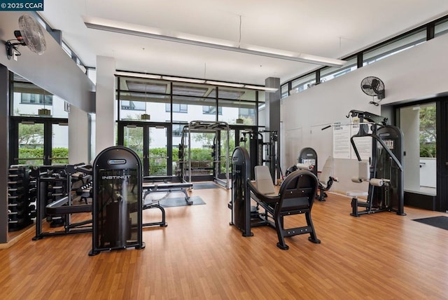 gym featuring a towering ceiling, floor to ceiling windows, and hardwood / wood-style flooring