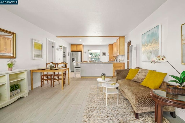 living room featuring light hardwood / wood-style floors