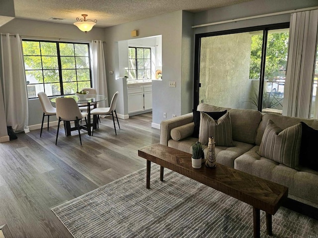 living room with a textured ceiling, a wealth of natural light, and light hardwood / wood-style flooring