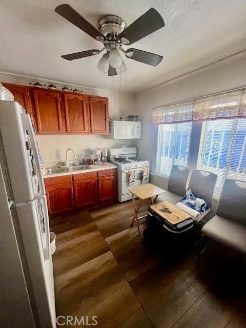 kitchen featuring ceiling fan, dark hardwood / wood-style floors, sink, and white appliances