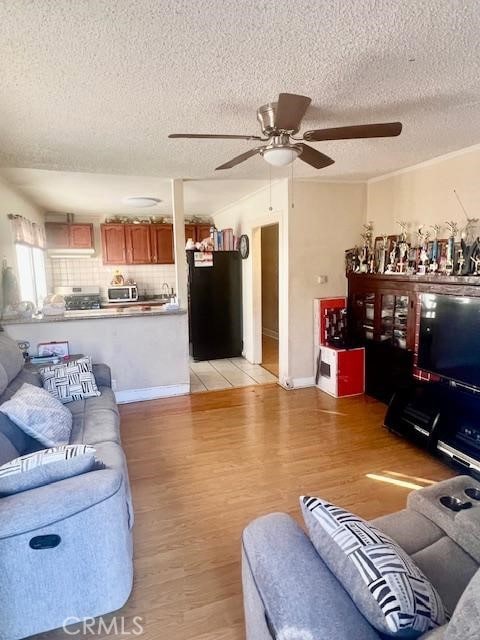 living room featuring a textured ceiling and light hardwood / wood-style flooring