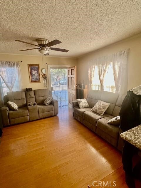 living room with a textured ceiling, ceiling fan, and light hardwood / wood-style flooring