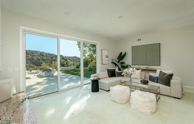 living room featuring a textured ceiling