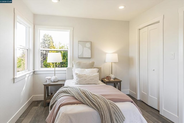 bedroom with a closet and dark hardwood / wood-style floors