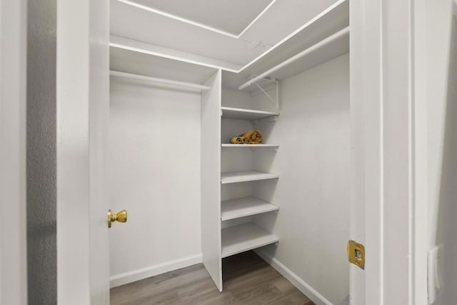 spacious closet featuring hardwood / wood-style flooring