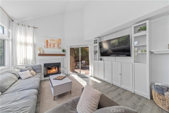 living room featuring light wood-type flooring, a fireplace, and plenty of natural light