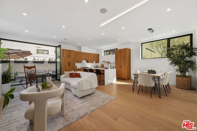 living room featuring light hardwood / wood-style flooring