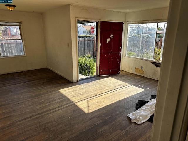 foyer entrance with dark wood-type flooring