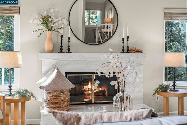 interior details with a premium fireplace