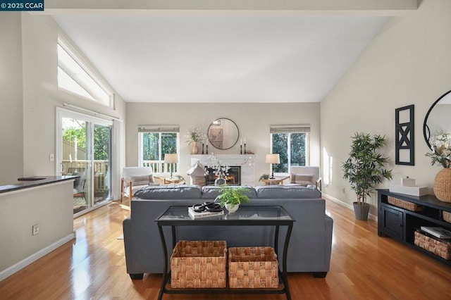 living room with high vaulted ceiling and light hardwood / wood-style flooring