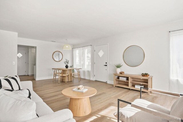 living room featuring wood-type flooring