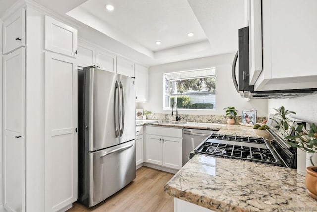 kitchen with light stone countertops, white cabinets, appliances with stainless steel finishes, sink, and a tray ceiling