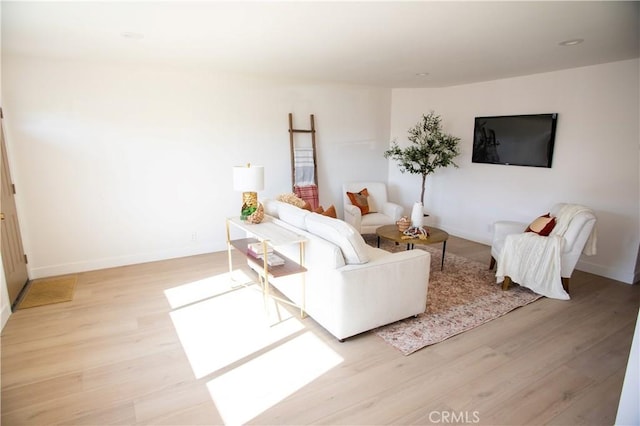 living room with light wood-type flooring