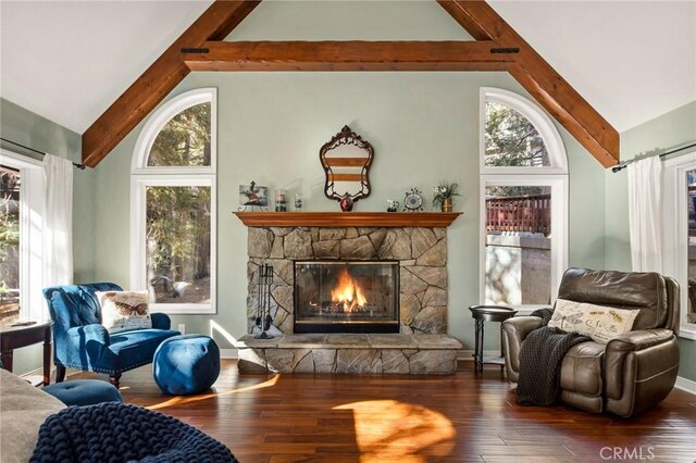 living area featuring plenty of natural light, dark hardwood / wood-style flooring, and a stone fireplace