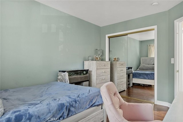 bedroom with a closet and wood-type flooring