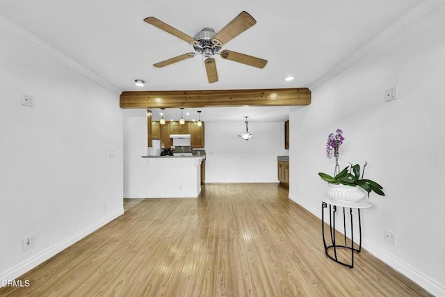 living room featuring ceiling fan, light hardwood / wood-style floors, and crown molding