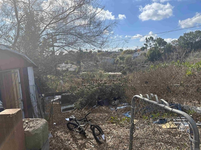 view of yard with a storage shed