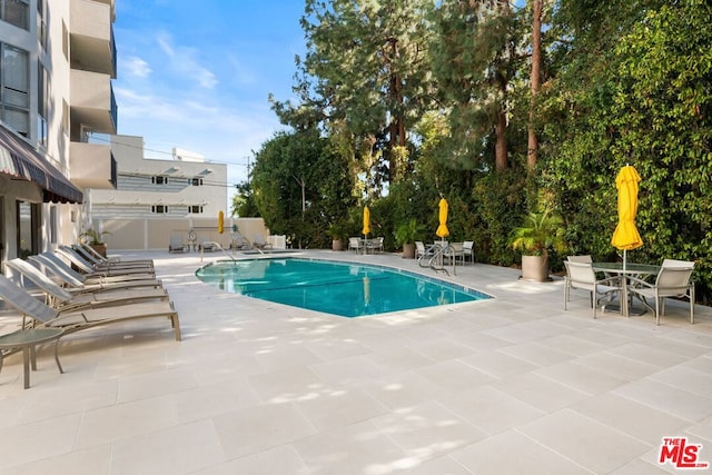 view of pool with a patio area