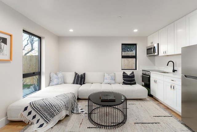 living room featuring light hardwood / wood-style floors and sink