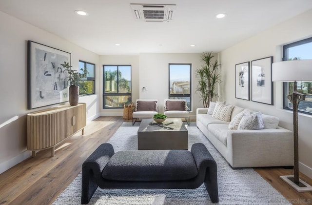 living room featuring hardwood / wood-style flooring