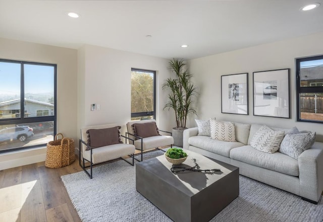 living room featuring hardwood / wood-style flooring