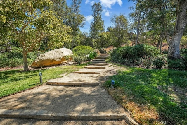 view of community with a lawn