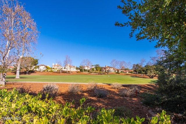 view of property's community with a yard