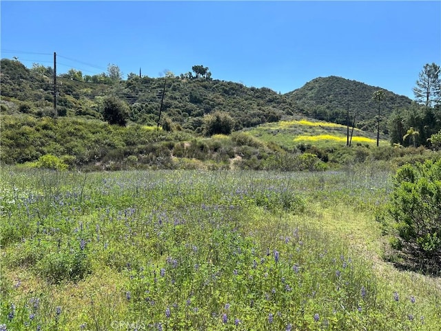 24201 Mulholland Hwy, Calabasas, CA 91302